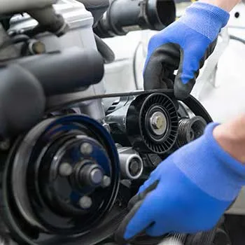 belts hoses